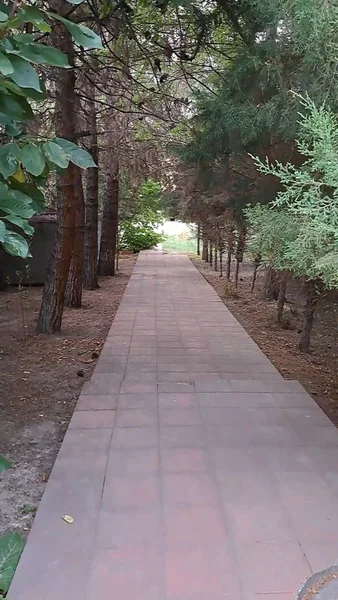 🌿 ЭКСКЛЮЗИВНЫЙ ЗАГОРОДНЫЙ КОМПЛЕКС — 70 СОТОК - Cover Photo