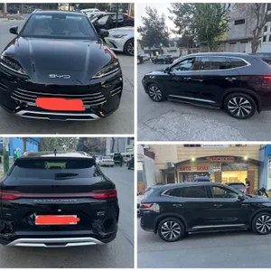 BYD 2024