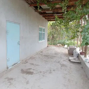 Dala hovli sotiladi, NMZ zavodiga 300 metr. Urozhaynyy dachada. Pul zarur