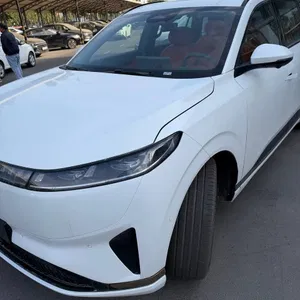 DongFeng 008 MAX 2024