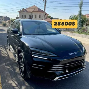 BYD Champion Hybrid 2024