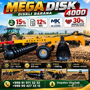 Mega disk baranalari