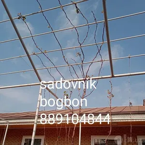 Sadovnik bogbon tok kesish archa gazon xizmati