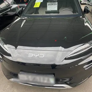 BYD Song Plus Champion, 2024