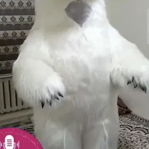 Ayiklar sotiladi