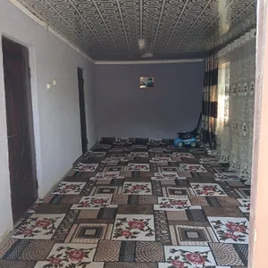 NAVOYINA navbaxor dala havli sotildi tayor yashashga jaroyiti bor ichimlik suvini turbsi kilyabdi aytgan nardan kilshmiz kami bor yir maydoni 20 30me