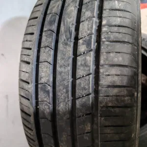 salondan olib chiqilgan va echilgan